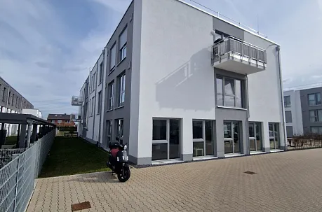 Bau-Grisha
