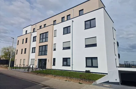 Bau-Grisha Köln Bonn